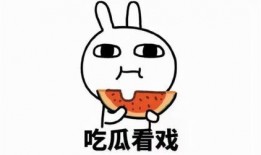 娱乐吃瓜酱梗