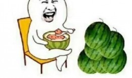 娱乐 吃瓜,吃瓜群众带你领略幕后风云