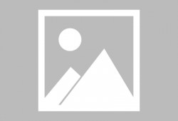 娱乐吃瓜小兔子视频大全